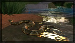 Snake