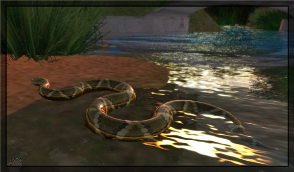Snake