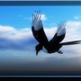 Magpie