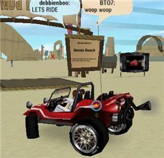 US AT BUGGY RACES