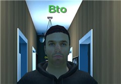 bto twinity