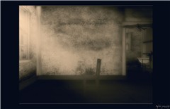 THE-QUIET