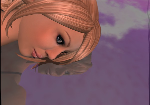 Reflections
