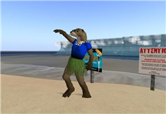 Surf Jam 4 on Manjini - Socks Clawtooth