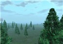 I Can See For Miles - Elsbeth Writer