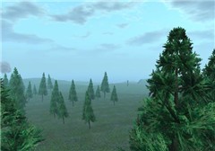 I Can See For Miles - Elsbeth Writer