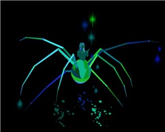 Painted Spider