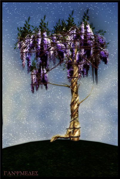 Barbwired Wisteria