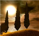 Cypress1