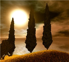 Cypress1