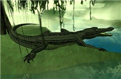 Perfect Pet