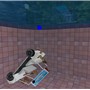 that car Damien drove into the pool!