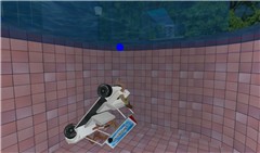 that car Damien drove into the pool!