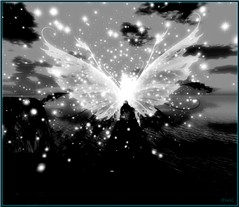 Faery 5