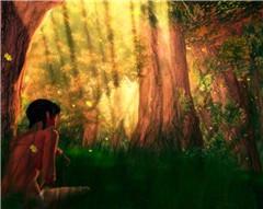 Watching Sunbeams