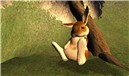 FATBUNNY