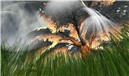 Snapshot_527
