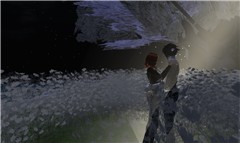 Moonlight Dance
