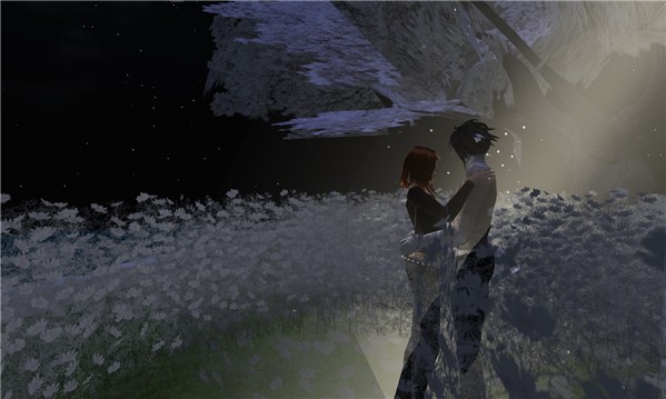 Moonlight Dance