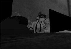 SL Noir