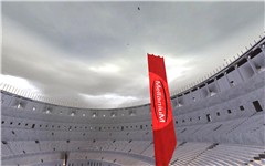 Mellanium flies the flag at the Coliseum