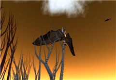 Wildlife2