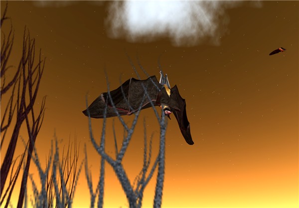 Wildlife2