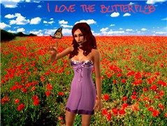 butterfly