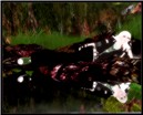 6-7 Blog 1