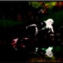 6-7 Blog 3