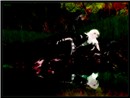 6-7 Blog 3