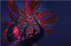 NPIRL tree_001