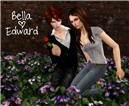 Bella & Edward