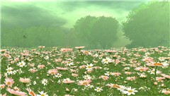 Garden1