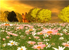 Garden2