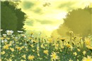 Garden3