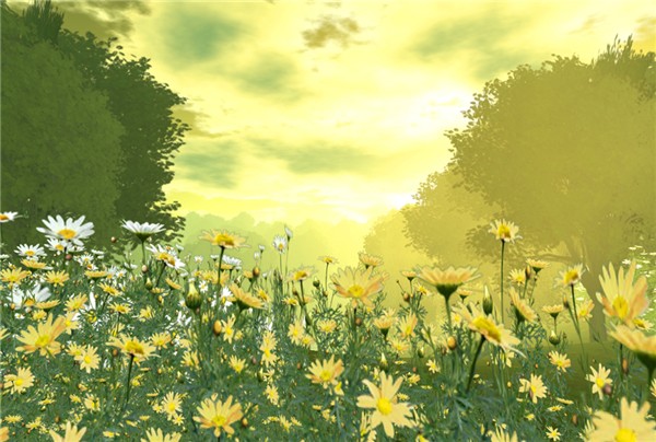 Garden3