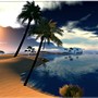 THE BEACH
