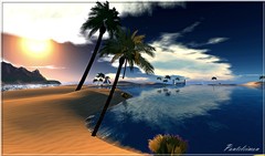 THE BEACH