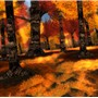 amazing forest - Natty Foggarty