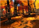 amazing forest - Natty Foggarty