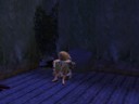 thumbnail_5557e2a2_1557e91f