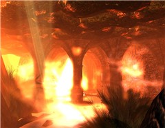 Light and Shadow