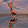 mermaiddiving
