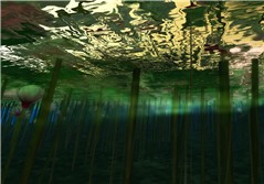 Underwater