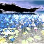 OceanFlowers