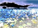 OceanFlowers