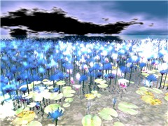 OceanFlowers