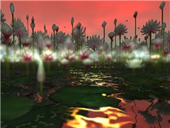 OceanFlowers1