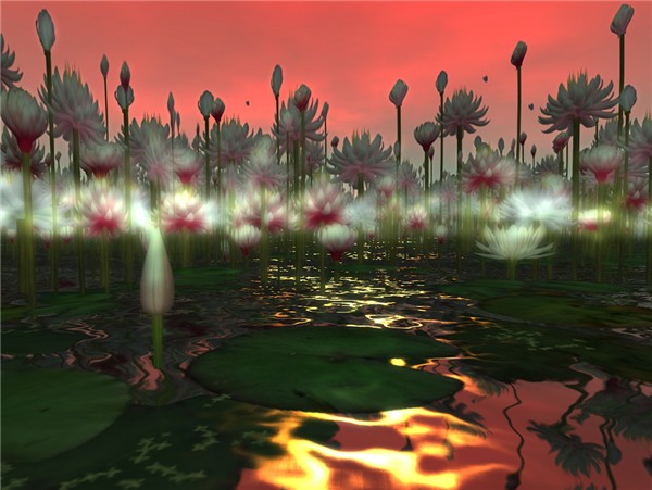 OceanFlowers1